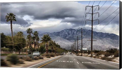Framed Palm Spring Print