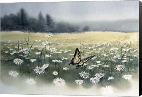 Framed Daisy Field Print
