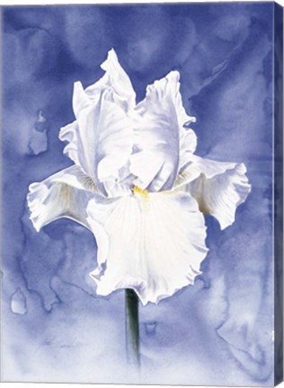 Framed Regal Bloom Print