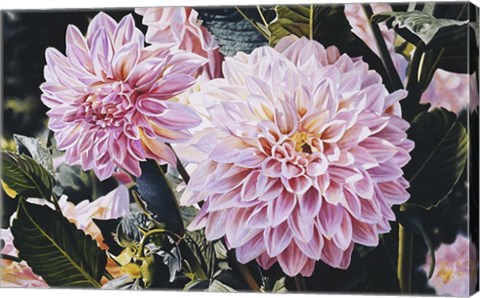 Framed Dahlias Print