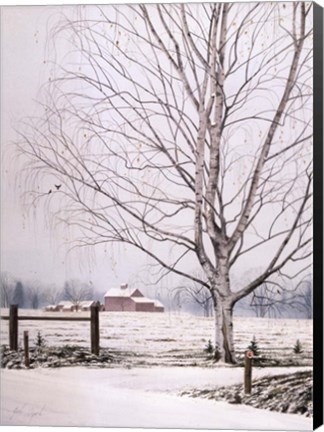 Framed White Birch Print