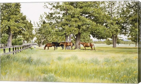 Framed Juniper Valley Print