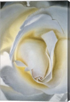 Framed Silver &amp; Gold Print