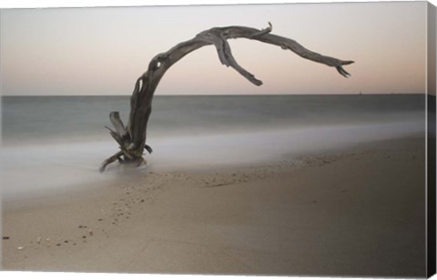 Framed Anthropomorph Print