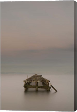Framed Swimming to Alcatraz III Print