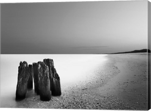 Framed Caucus Race Print