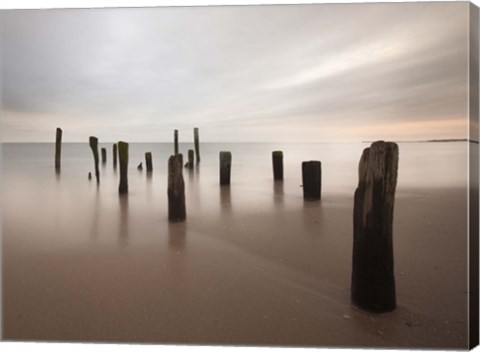 Framed Beyond Measure Print