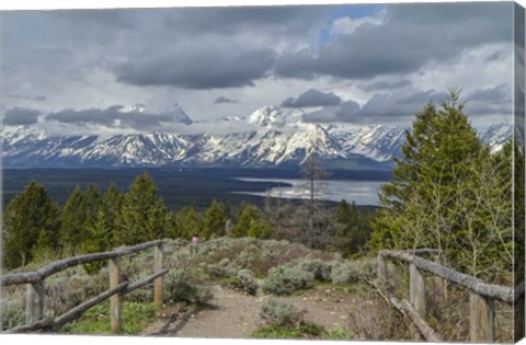 Framed Jackson Lake Overlook G Print