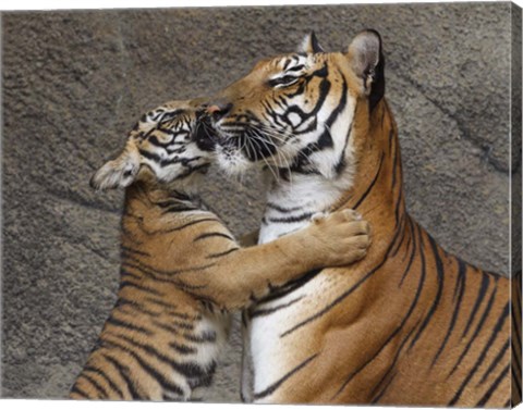Framed Kiss For Mom Print