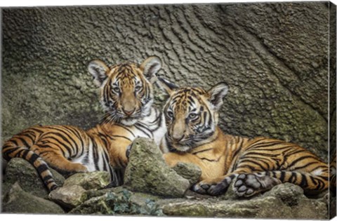 Framed Brothers Twosome Print
