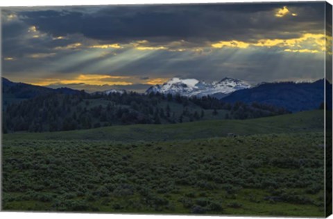 Framed Lamar Valley Sunrise Print