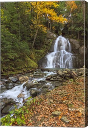 Framed Moss Glen Falls in VT Print