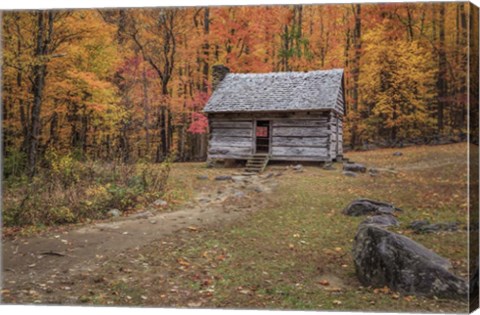 Framed Alex Cole Cabin Print