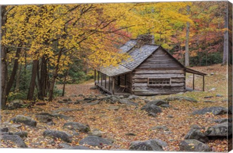 Framed Bud Ogle Cabin Print