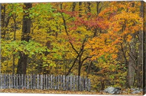 Framed Fall Fence Scene Print