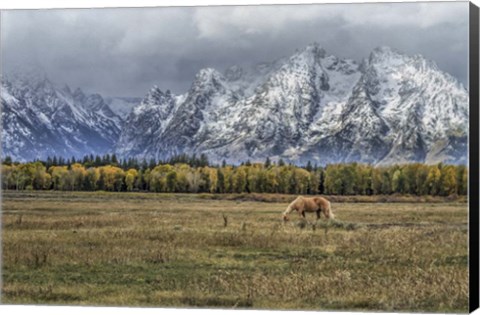 Framed Fine Dining In The Tetons Print