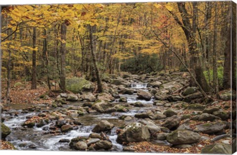Framed Greenbrier Cascade Print