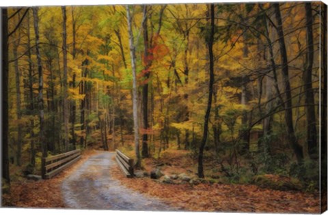 Framed Greenbrier Path Print