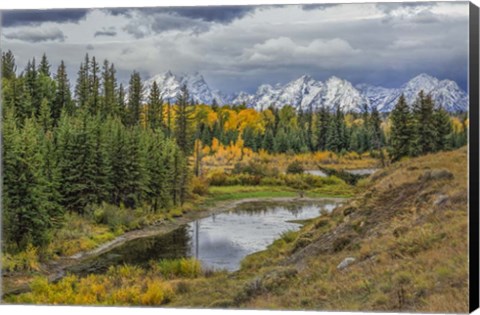 Framed Gtnp Fall Color With Mountains Print
