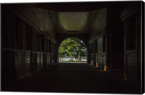 Framed Horse Farm Barn (Inside And Out) Print