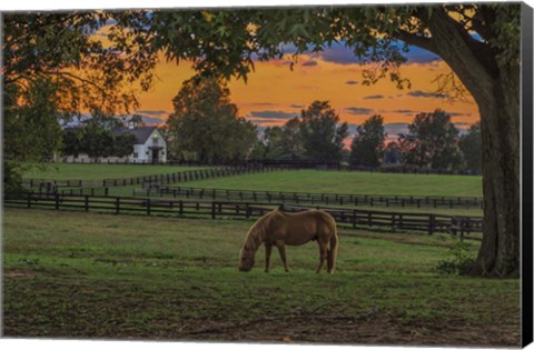 Framed Horse Farm Sunset Print