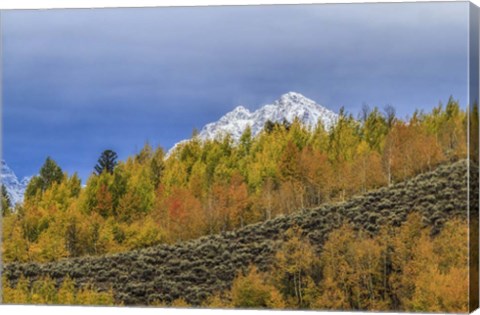 Framed Mountain Fall Color Print