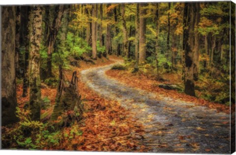 Framed Path In Greenbrier Watercolor Print