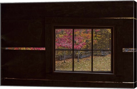 Framed Roaring Fork Cabin Window Print