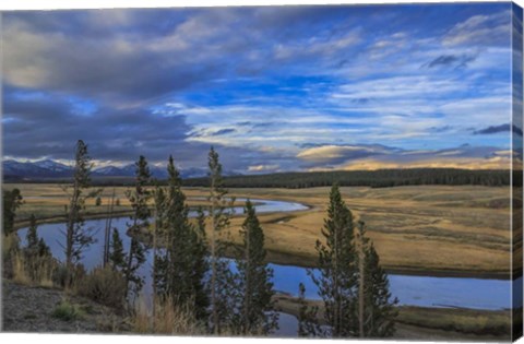 Framed S Curve Hayden Valley Print