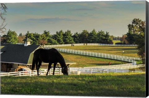 Framed Sunset On The Farm Print