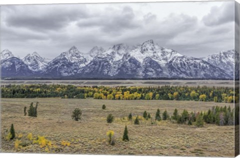 Framed Teton Fall Colors Print