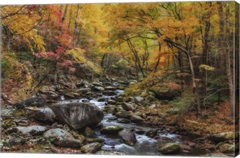 Framed Tremont Stream Watercolor Print