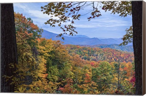 Framed Window To The Smoky Mountains Print