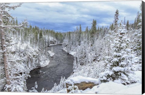 Framed Yellowstone Winter In Fall Print