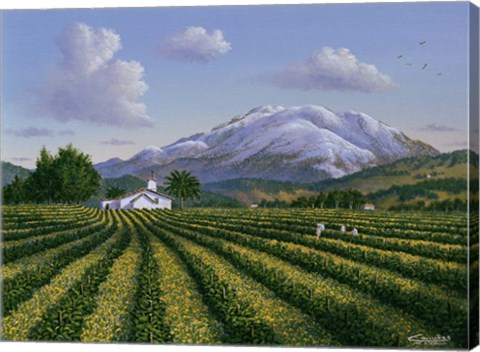 Framed Mount Sta Helena - Napa Valley Print