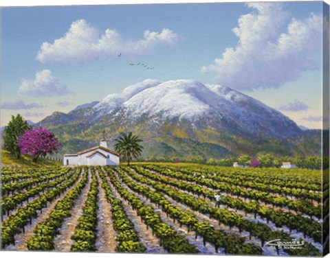 Framed Mount St Helena Print