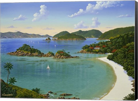 Framed Trunk Bay - Virgin Islands Print
