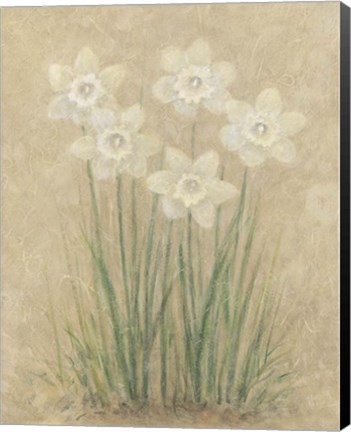 Framed White Tulips Print