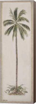 Framed Single Palm tree Print