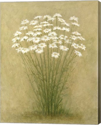 Framed Floral C Print