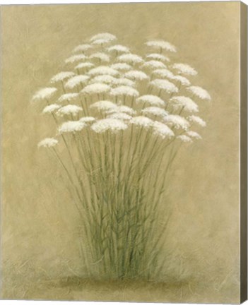 Framed Floral D Print