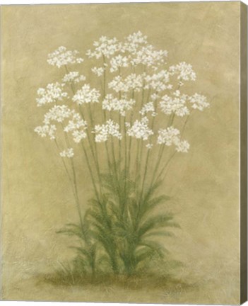 Framed Floral E Print