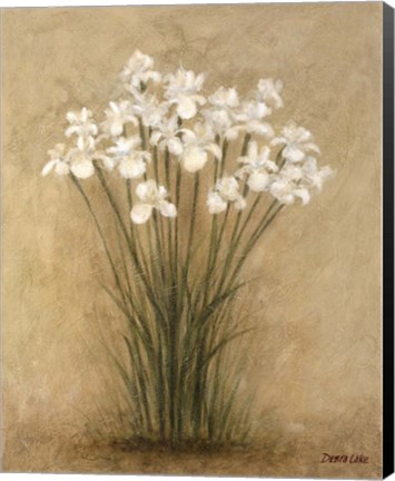 Framed Floral F Print