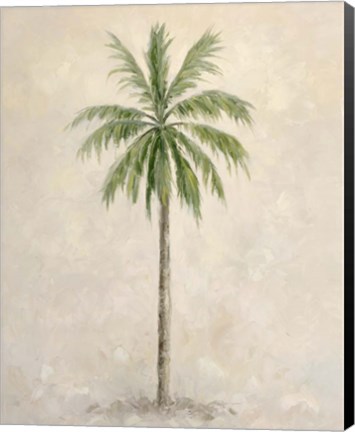 Framed Palm Tree 1 Print