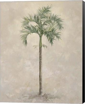 Framed Palm Tree 4 Print