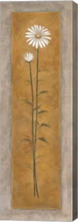 Framed Tall White Daisy Print
