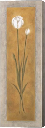 Framed Tall White Tulip Print