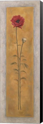 Framed Tall Red Poppy W/Bud Right Print