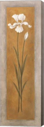 Framed Tall White Iris Print