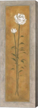 Framed Tall White Rose Print
